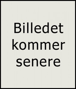 Henrik Sonne Schmidt
